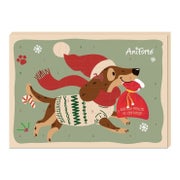 Adventskalender für Hunde 1 St