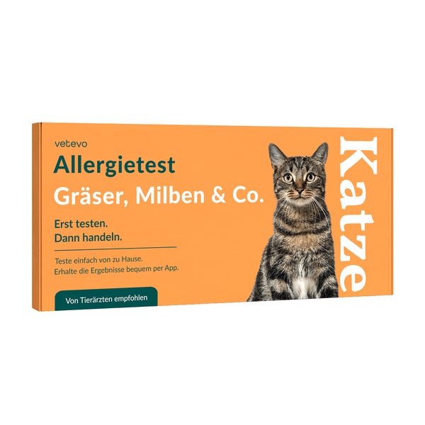 Allergietest - Gräser, Milben & Co. Katze 1 St