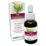 Naturalma Schottische Kiefer Pinus sylvestris Tropfen 30 ml