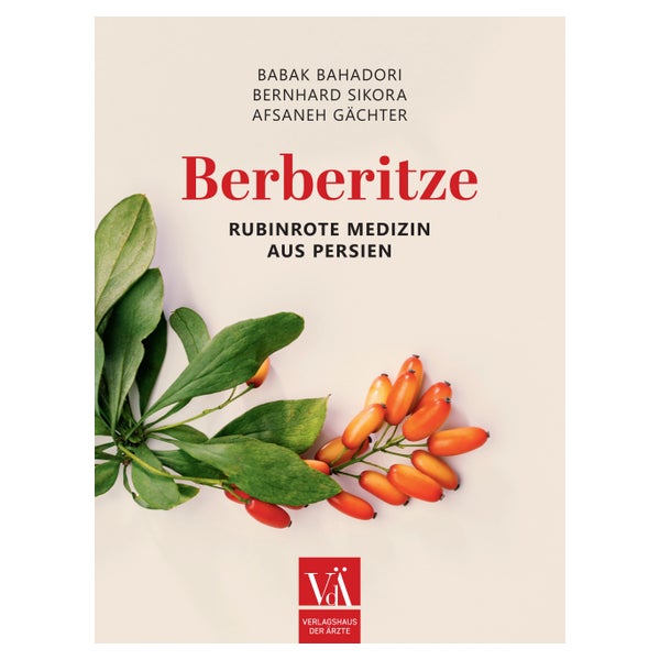 Berberitze 1 St