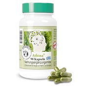 Athina® Griechisches Eisenkraut BIO Bergtee Vegan Premium 90 St