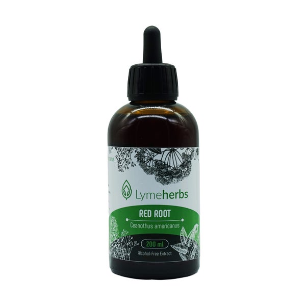 Ceanothus americanus, alkoholfreier Extrakt (200ml) 200 ml