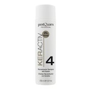 POSTQUAM HAARPFLEGE REKONSTRUKTIONSSHAMPOO MIT KERATIN 250ML