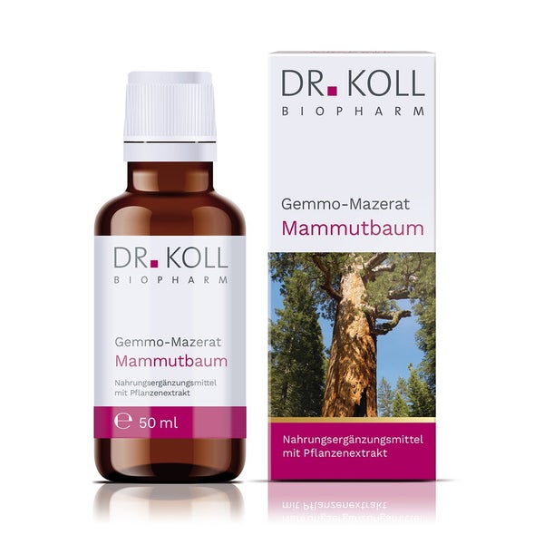 Gemmo-Mazerat Mammutbaum Dr. Koll Sequoia gigantea 50 ml