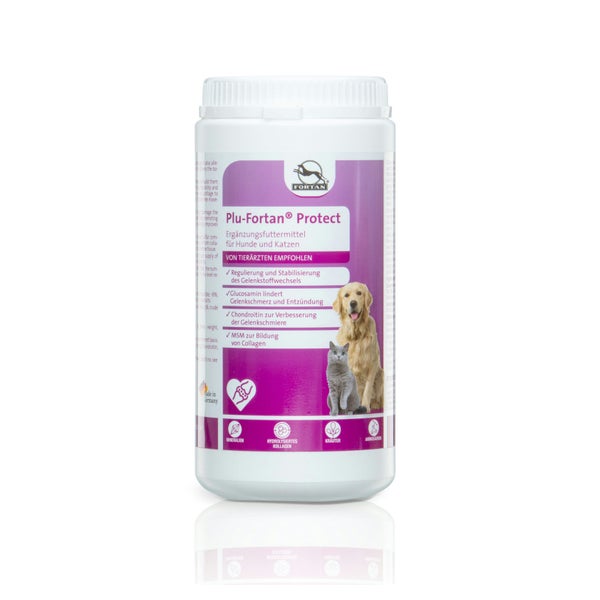 Plu-Fortan Protect Tabletten mit MSM 1000 g