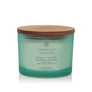 Chesapeake Bay Balance + Harmony Duftkerze mit 3 Dochten 312 g 0,312 kg