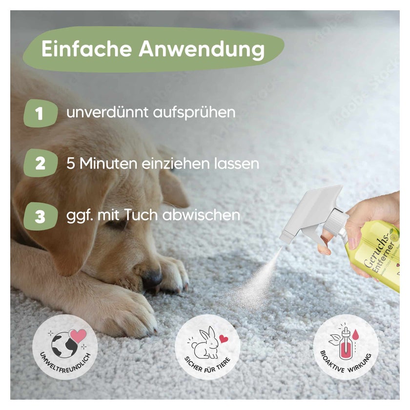 Pawlie's Geruchsneutralisierer & Enyzmreiniger Spray 500 ml online kaufen |  DocMorris