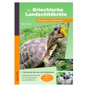Die Griechische Landschildkröte