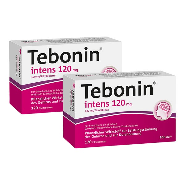 Tebonin intens 120 mg 2X120 St