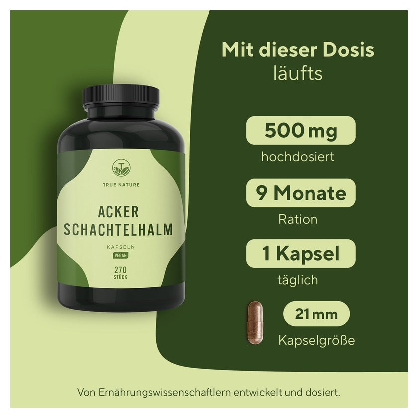Ackerschachtelhalm Kapseln - Zinnkraut Extrakt - Made in DE 1080 St online  kaufen | DocMorris