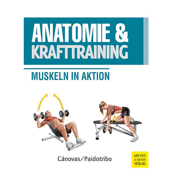 Anatomie & Krafttraining 1 St