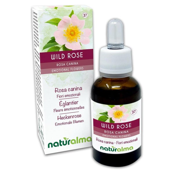 Naturalma Heckenrose Rosa canina Tropfen 30 ml