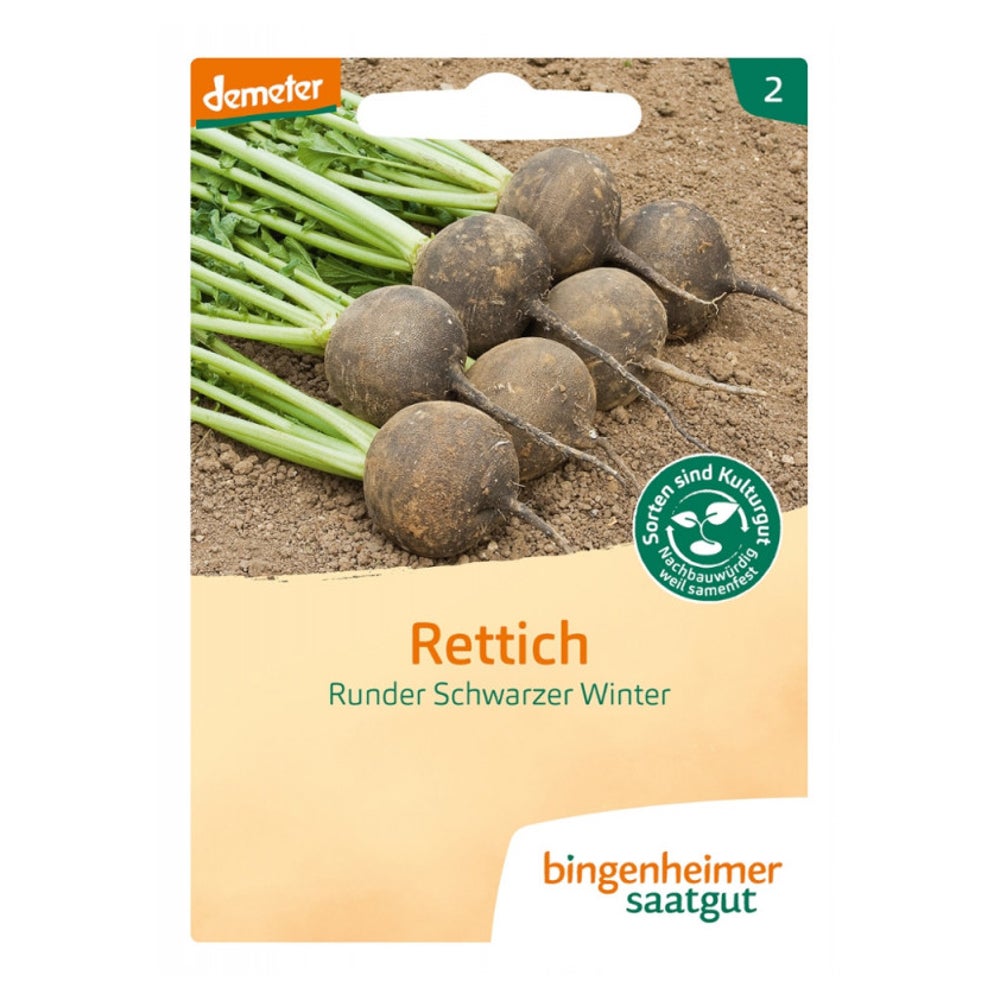 Bingenheimer Saatgut - Rettich runder schwarzer Winter