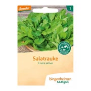Bingenheimer Saatgut - Salatrauke Rucola 2 g