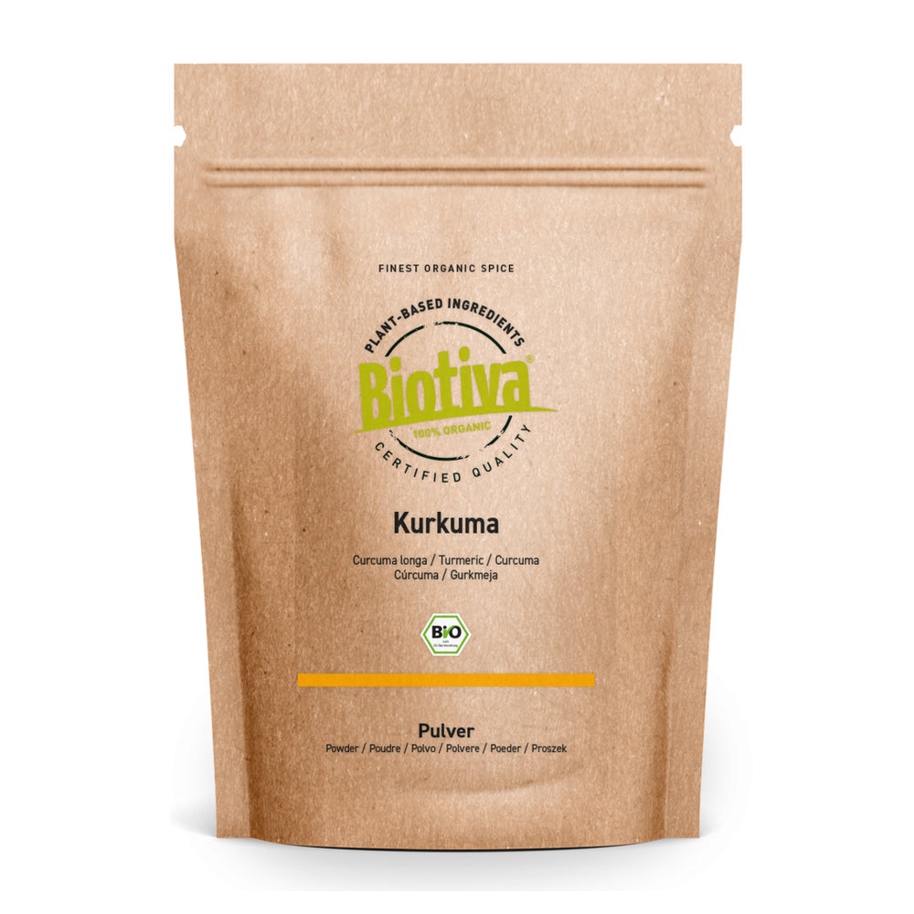 Biotiva Kurkuma Pulver Bio 100 g