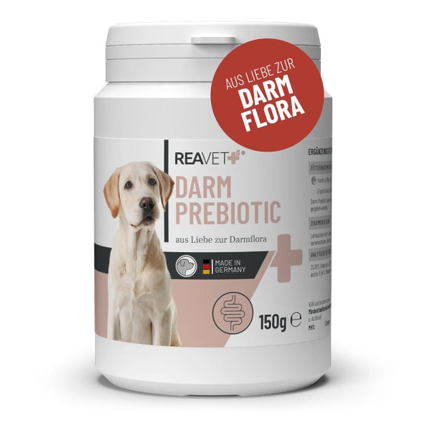 ReaVET Darm Prebiotic Pulver