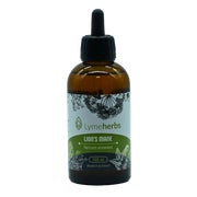 Igel-Stachelbart (lion's mane), Alkoholfreier Extrakt 200ml 200 ml