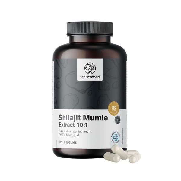 HealthyWorld Shilajit Mumie 10:1 – Mineralharz mit 20 % Fulvinsäure 120 St