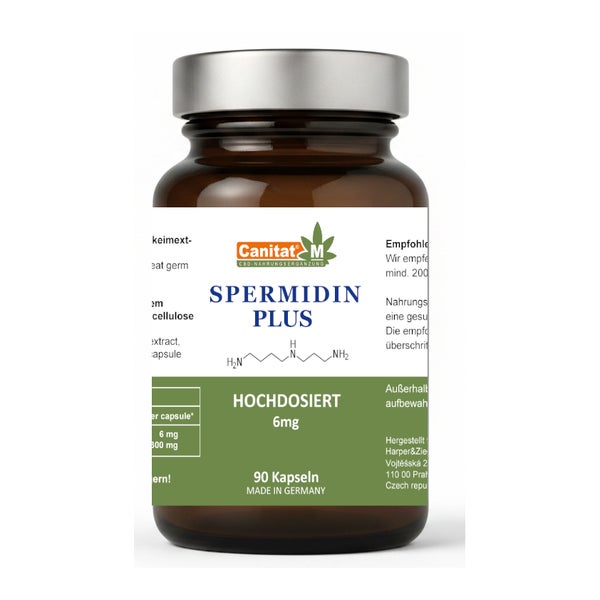 Spermidin Plus 6mg aus Weizenkeimextrakt | Hochdosiert 90 St
