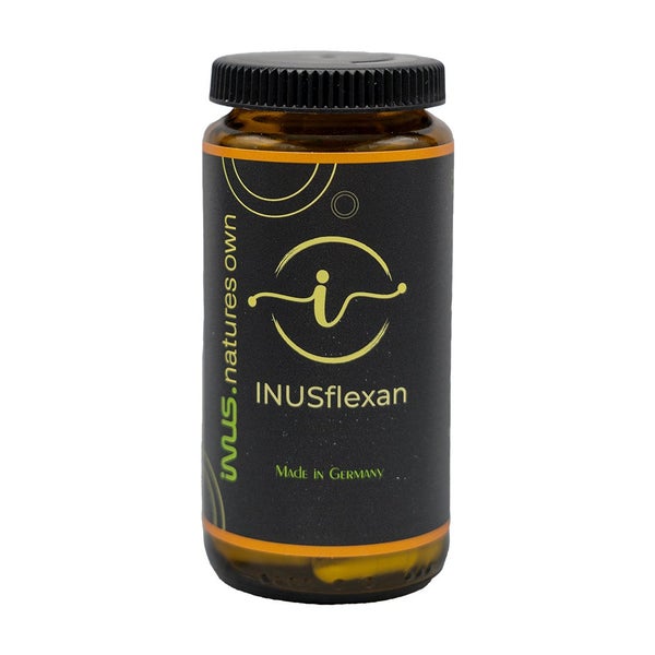 Inusflexan Plus Kapseln 90 St