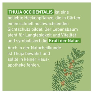 Thuja D12 Globuli Pflger 10 g online kaufen | DocMorris