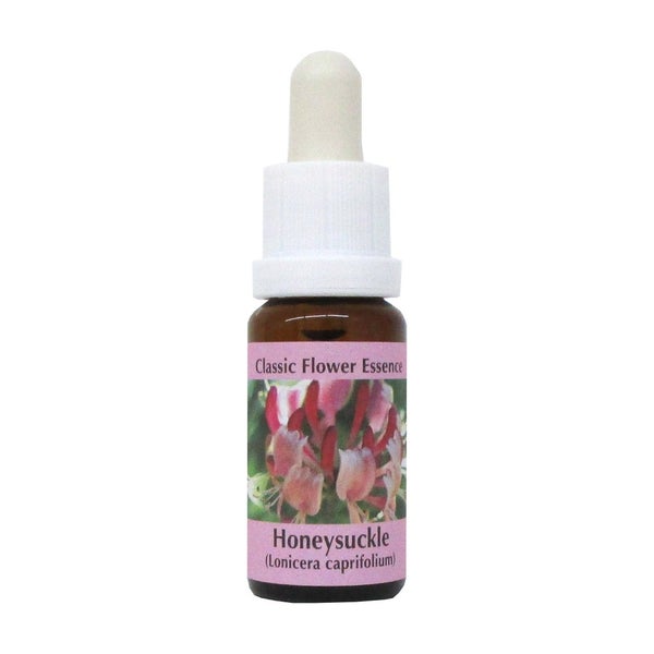 PHI Essences – Honeysuckle Bachblüte Nr. 16 – 1 St