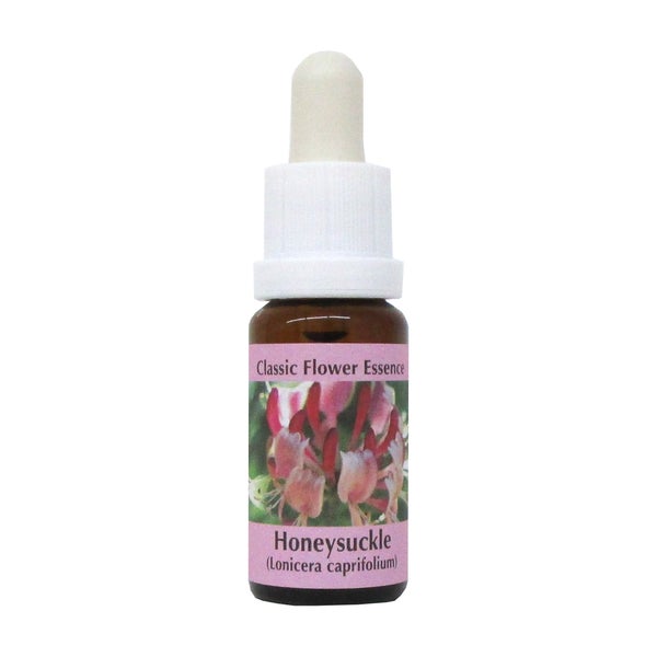 PHI Essences – Honeysuckle Bachblüte Nr. 16 - 1 St