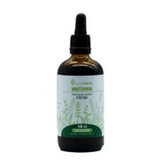 Houttuynia-Tinktur 1:2 (100ml) 100 ml