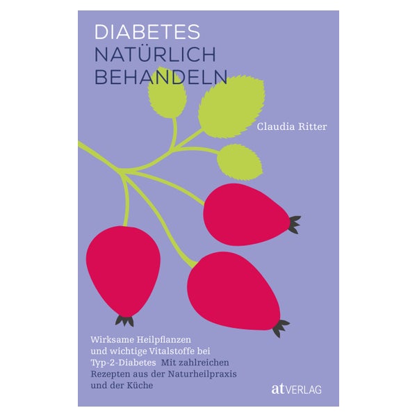 Diabetes natürlich behandeln 1 St