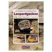 Leopardgeckos