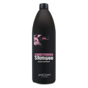 POSTQUAM HAARPFLEGE Shampoo mit Conditioner (1000 ML.)