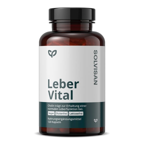 SOLVISAN® Leber Vital -Mariendistel, Artischocke, Löwenzahn 1 St