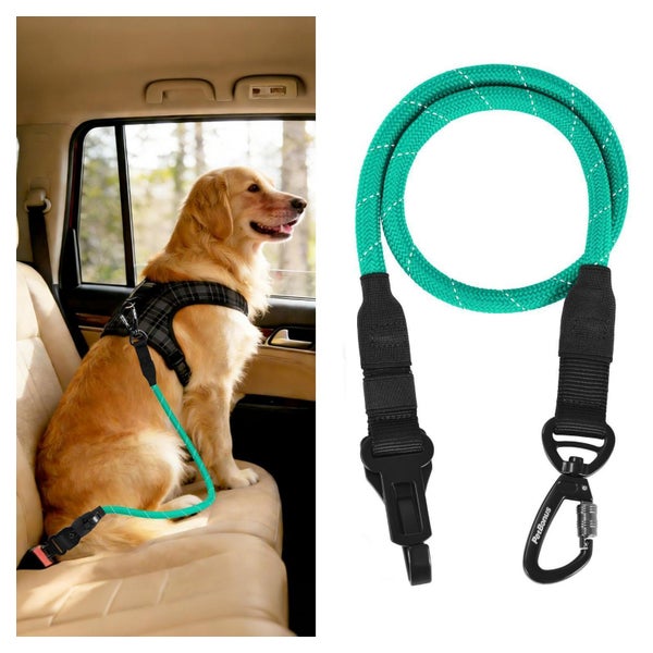 Hunde Sicherheitsgurt Anschnallgurt Seil Karabiner Türkis 1 St