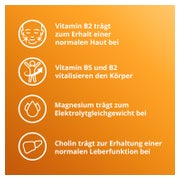 ELOTRANS reload Orange 15X7,57 g