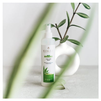 bogenhanf wie groß wird er Große Sansevieria kaufen – Green Me Up main image 1