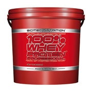 Scitec 100% Whey Professional Chocolate Hazelnut 5000 g