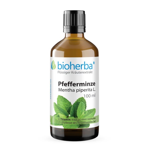 Pfefferminze Extrakt Tropfen 100 ml