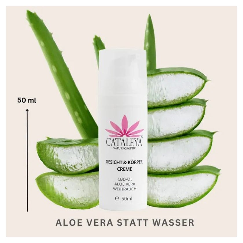 GESICHT & KRPER CBD Hanf Creme gegen Pickel, Akne und unreine Haut 50 ml  online kaufen | DocMorris