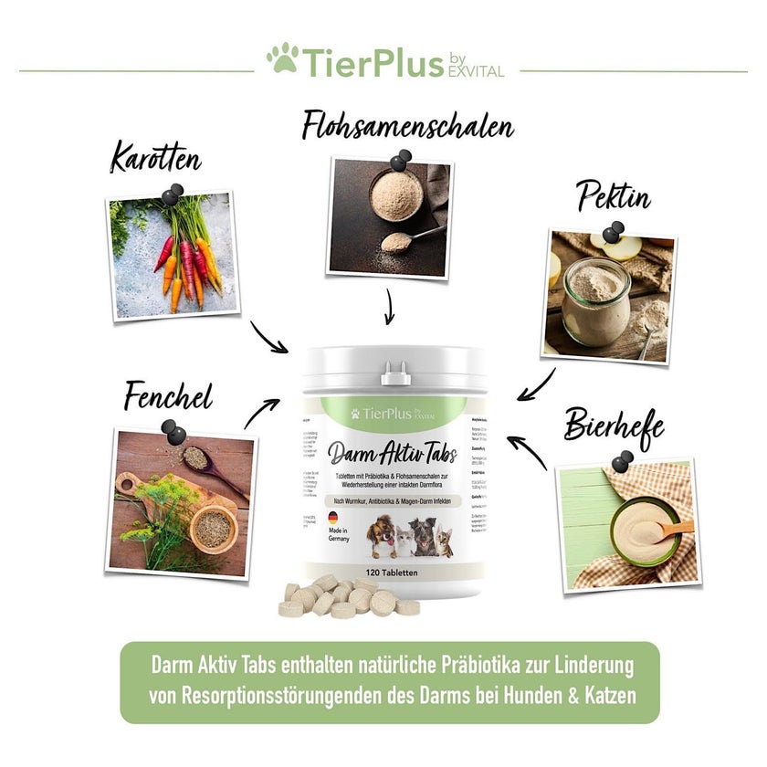 Amoxicillin für katzen