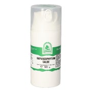 Harpagophytum Salbe 90 g