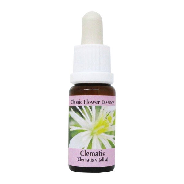 PHI Essences – Clematis  Bachblüte Nr. 9 – 1 St