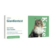 Giardientest Katze 1 St