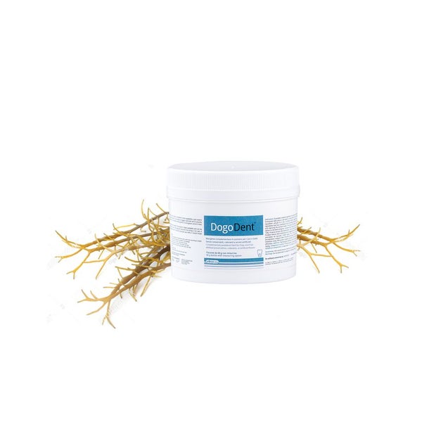 DogoDent Pulver 60 g