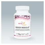Redox Regulat 120 St