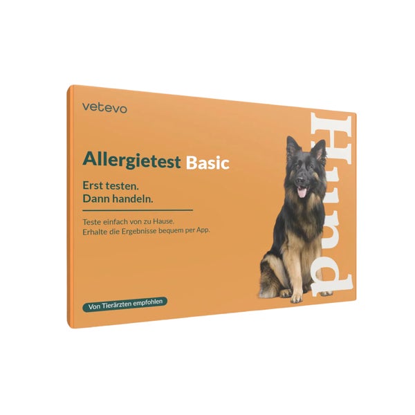 Allergietest Basic Hund 1 St