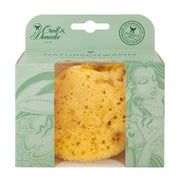 Silk Schwamm Naturschwamm Badeschwamm in Mermaid Box 13 × 12 × 5 cm 1 St
