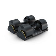 DB32  Verstellbare Hanteln von Matrix Fitness - 32-kg-Set 1 St