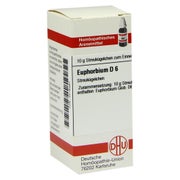 Produktabbildung: Euphorbium D 6 Globuli 10 g