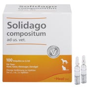 Solidago Compositum ad us.vet.Ampullen 100 St