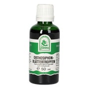 Orthosiphonblätter Tropfen zum Einnehmen 50 ml